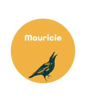 mauri.png